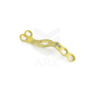 PLACA LAMINAR POSTERIOR GP