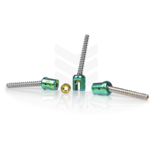 TORNILLO TRANSPEDICULAR POLIAXIAL CANULADO